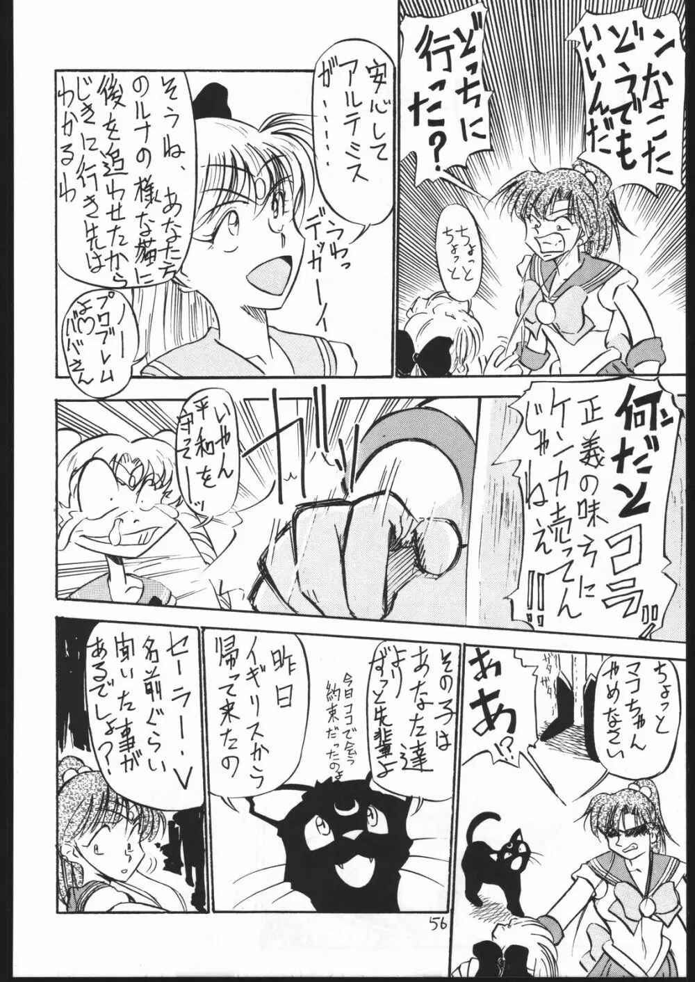 V・H・S・M Vol. 1 Page.55