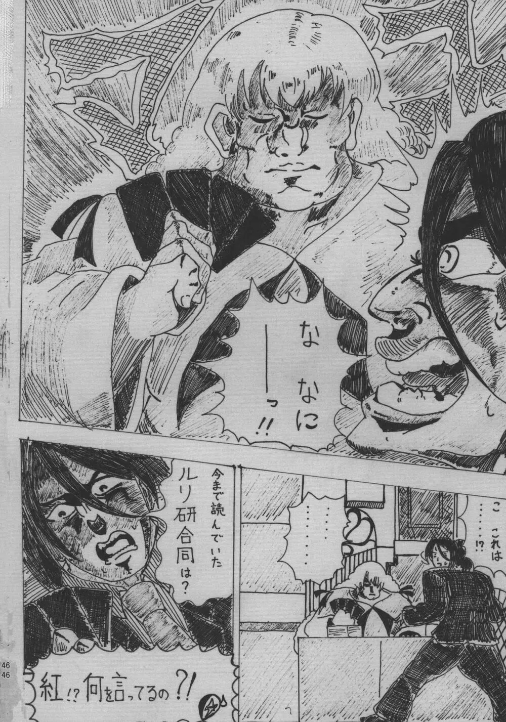 ルリグ研究日誌2017夏号 Page.46