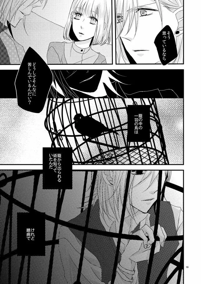 phalaenopsis Page.18
