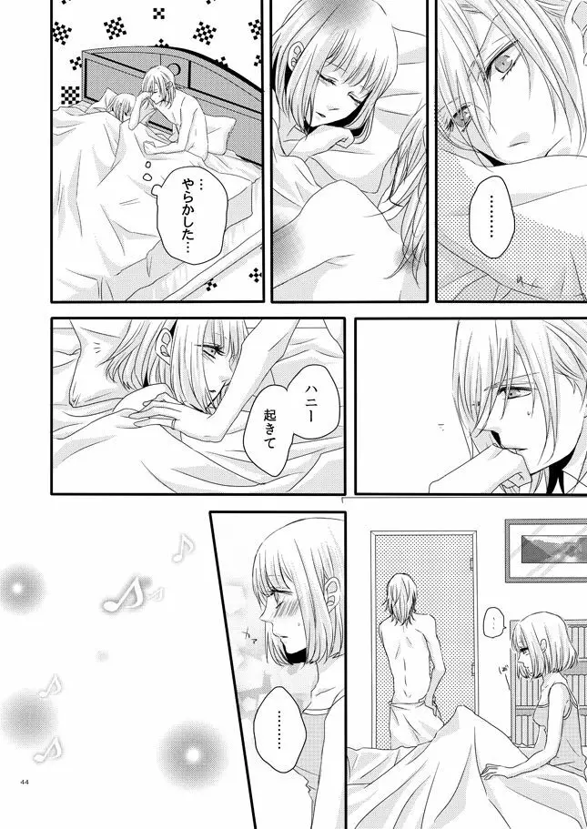 phalaenopsis Page.43