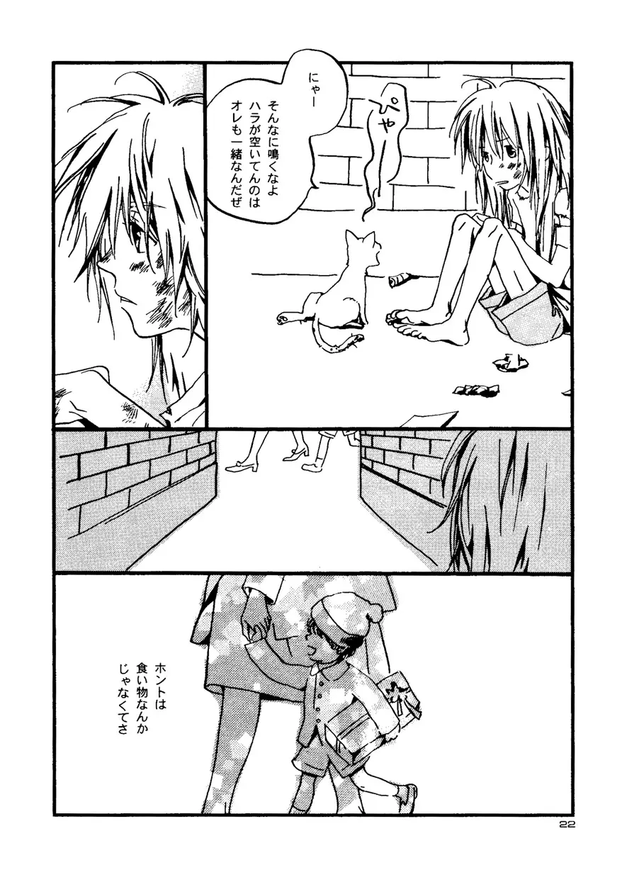 Snowflake's Land Page.40