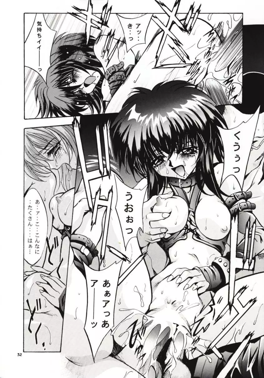 SHADOW CANVAS 8 Page.31