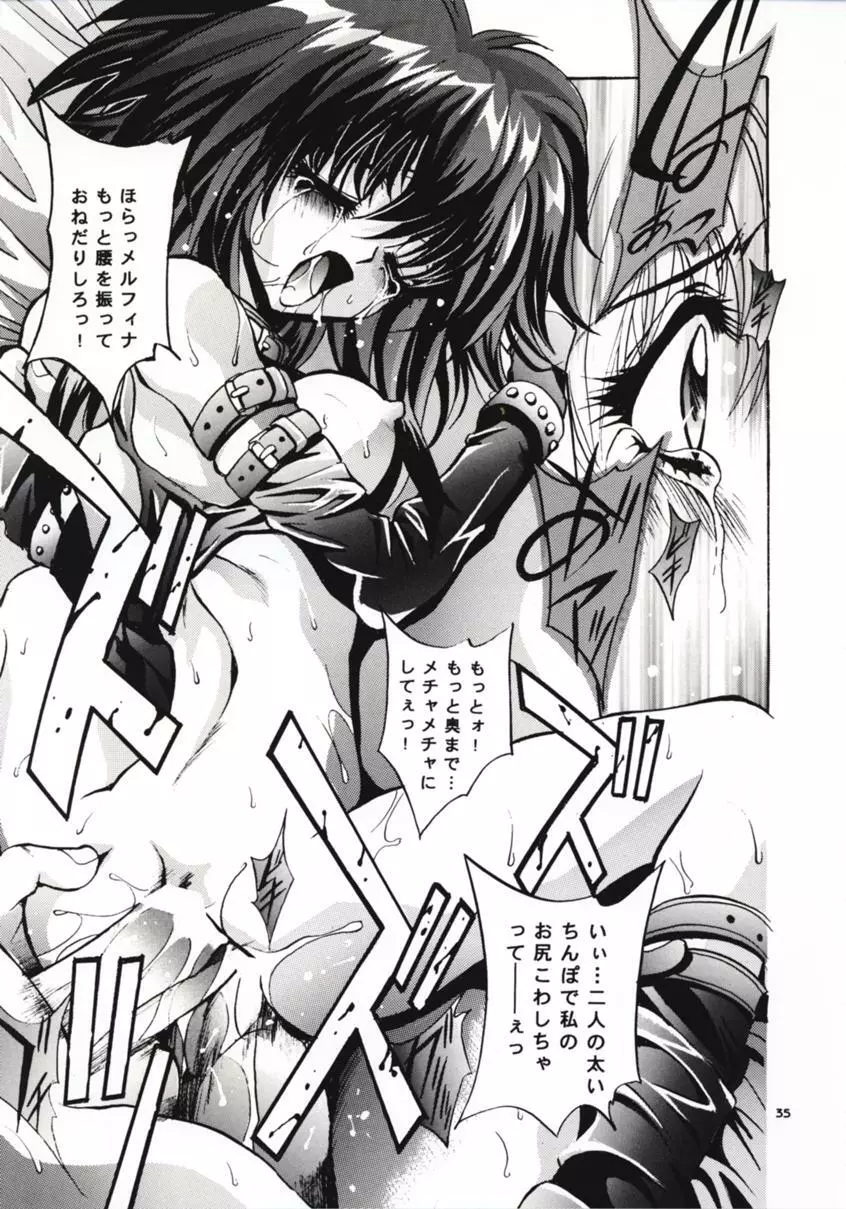 SHADOW CANVAS 8 Page.34