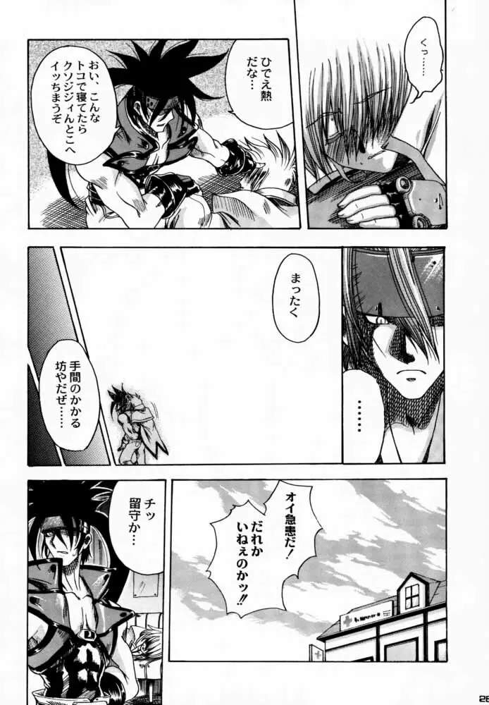 Seen Cyber C Page.25