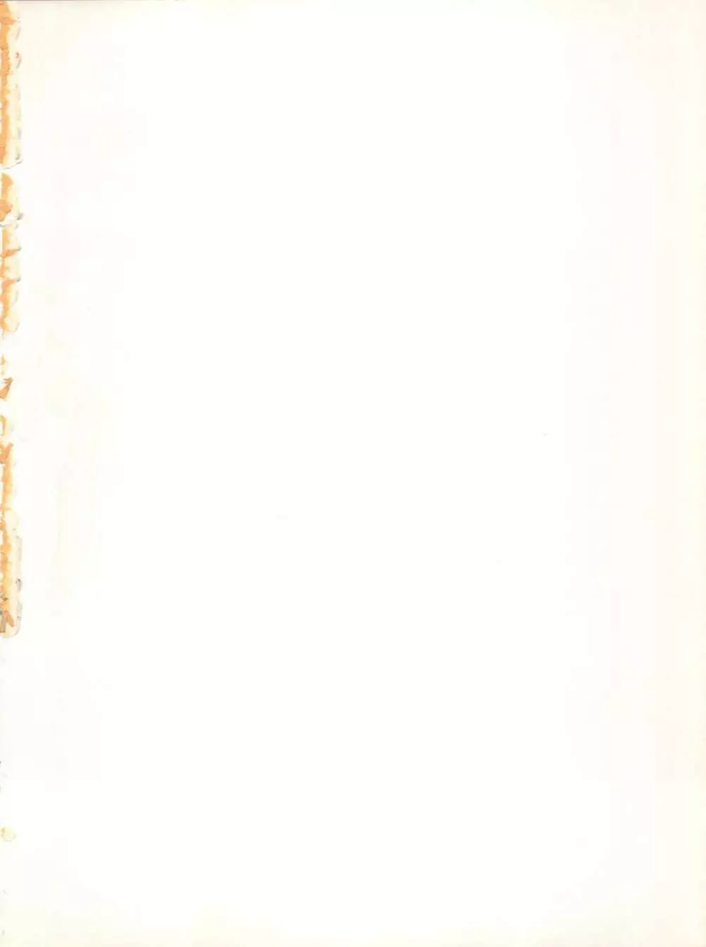 T.C.SUN Page.2