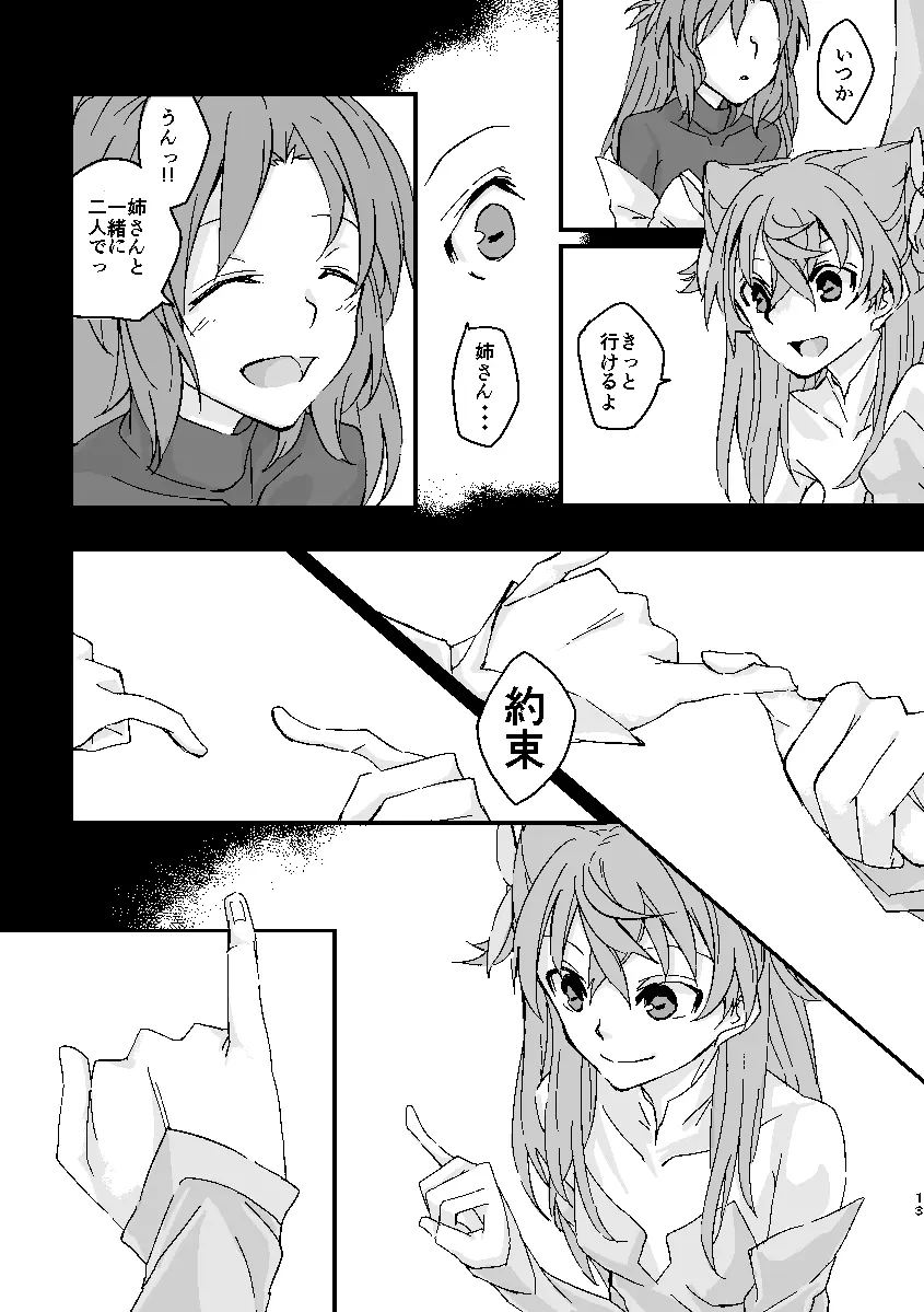 Schimmer Page.12