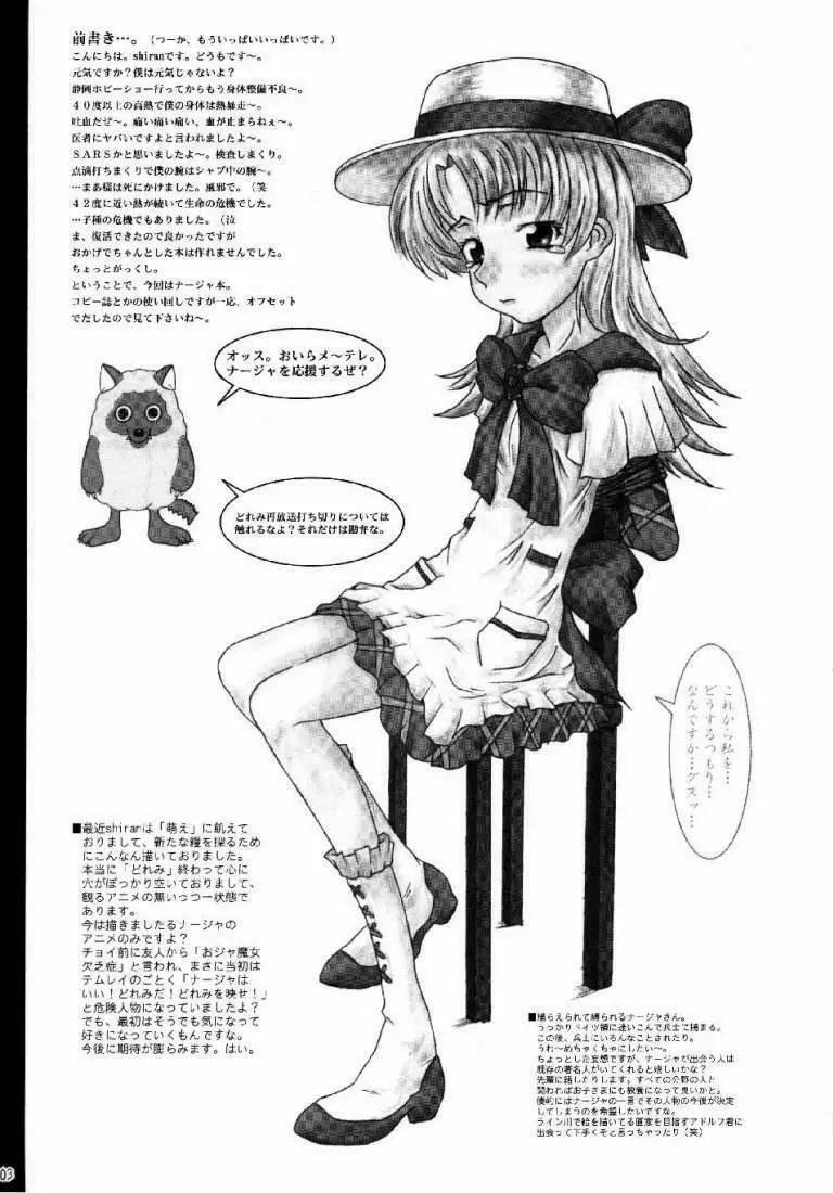 とりあえず!! ナージャ本 Page.3