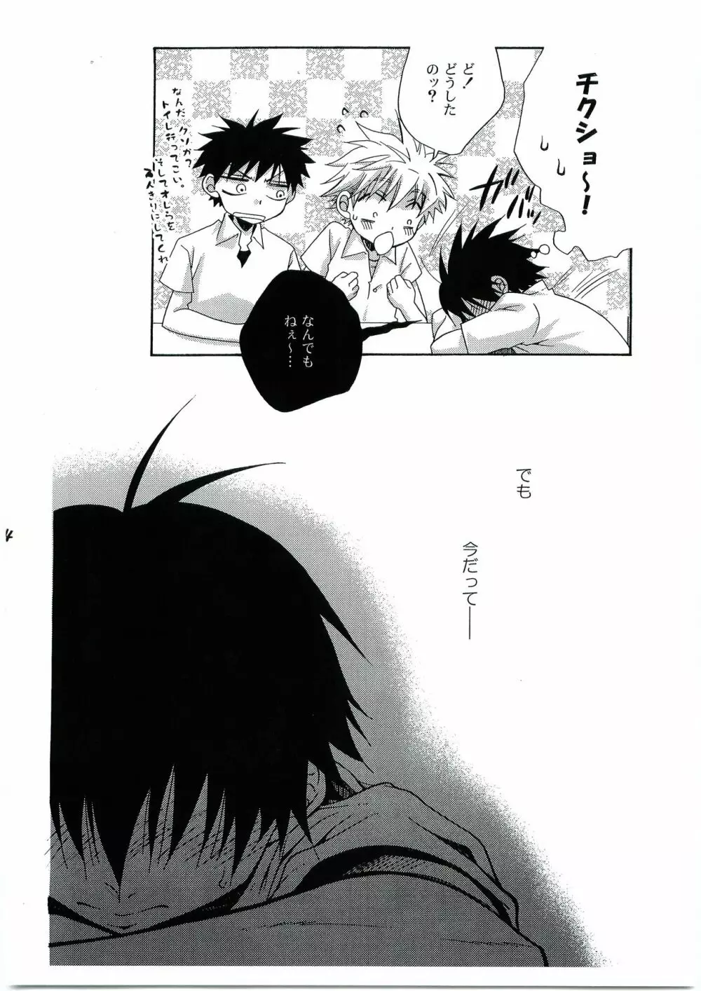 ヒマワリ Page.13