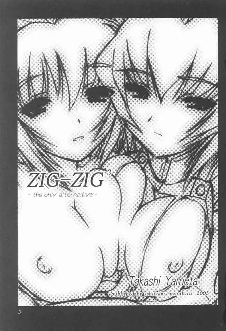 ZIG-ZIG 3 ～the only alternative～ Page.3
