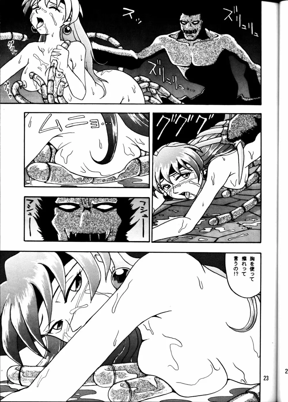CAMELEON TECHNOLOGY 2 Page.22