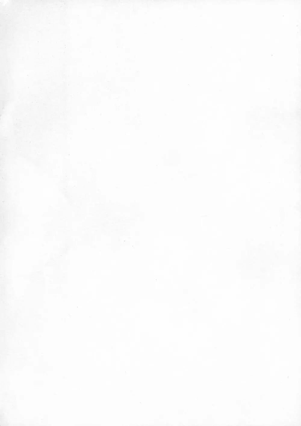 イリヤスフィール捕まえました Page.4