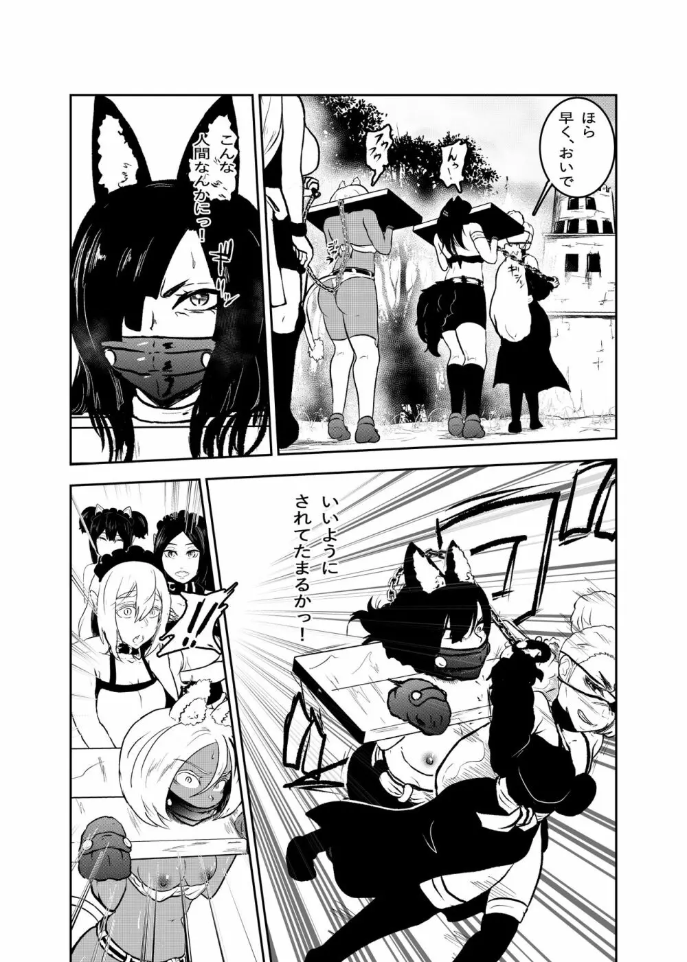 ヴァンパレイド8 ～白猫 黒狼 拘束編～ Page.4