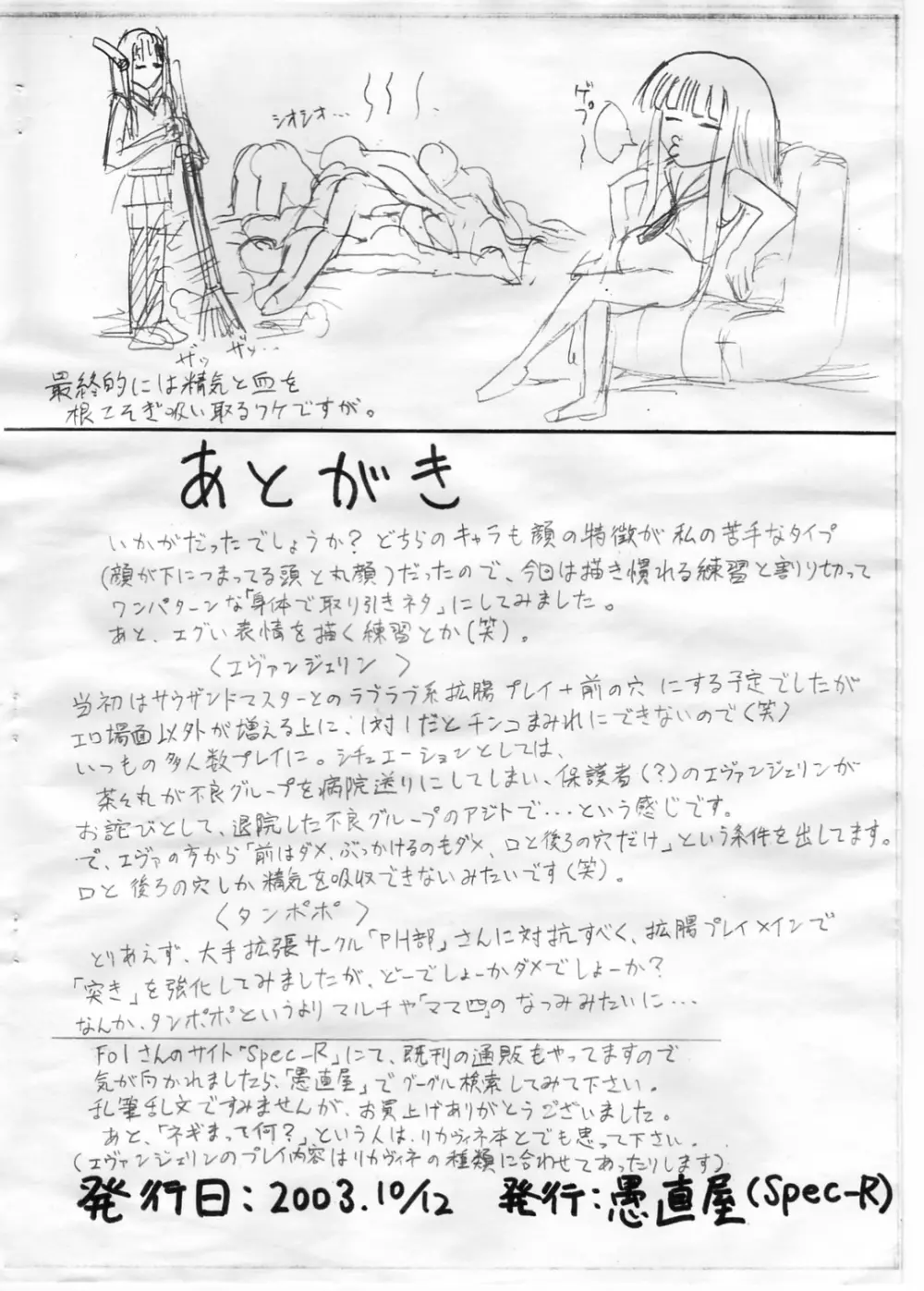 新性器エヴァンジェリン Page.19