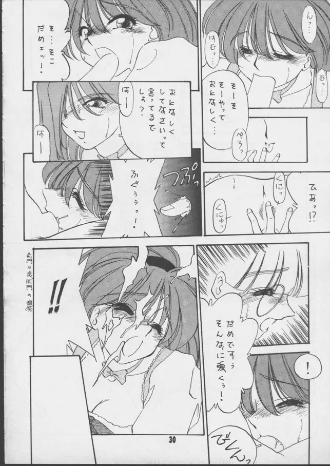 V-MAX Page.29