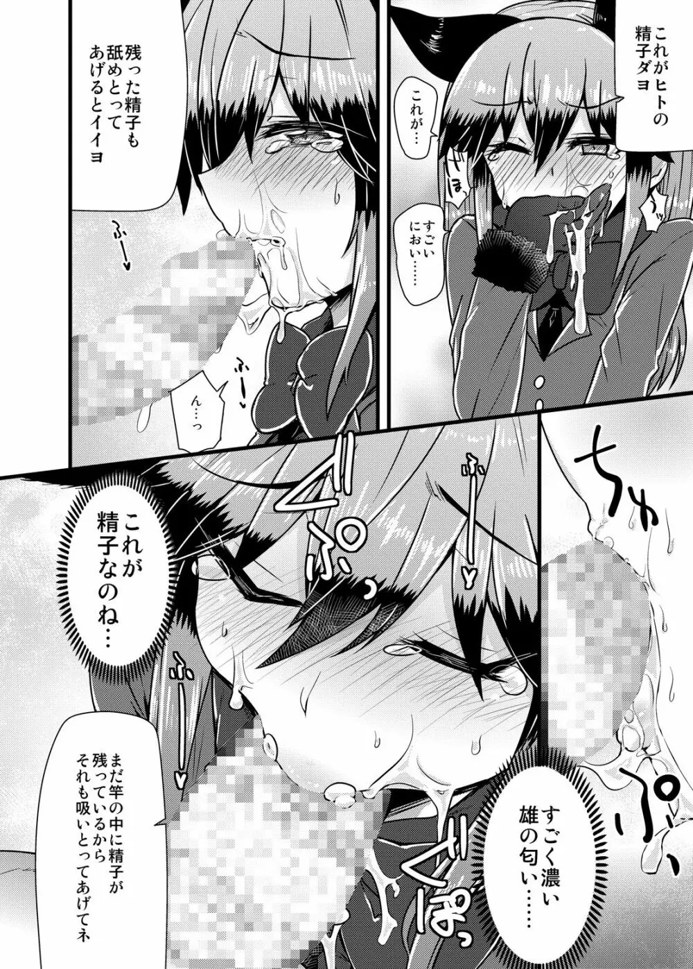 ギンギツネちゃんにヒトの交尾をおしえたいっ Page.11