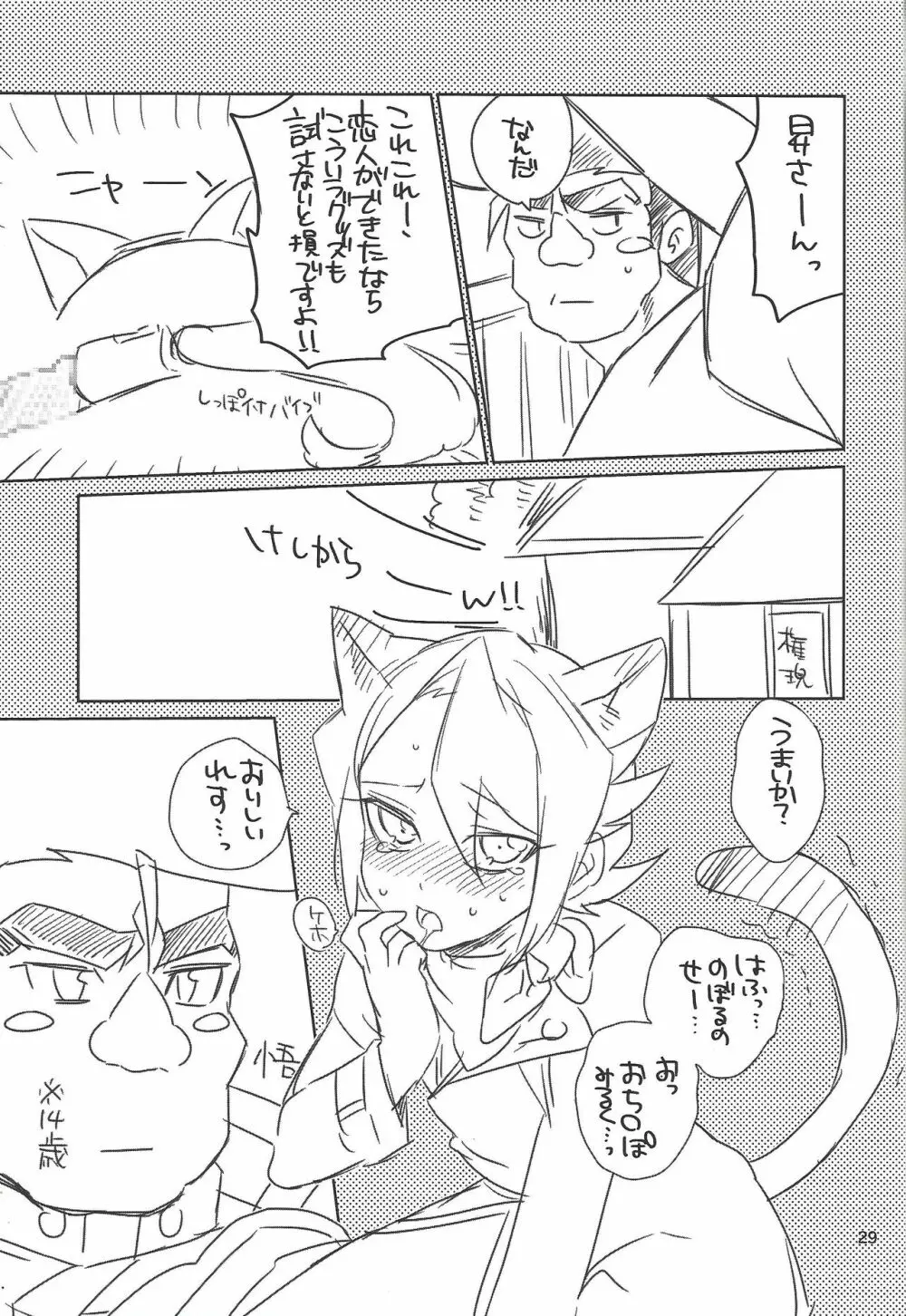 ハヤブサノヨメイリ Page.27