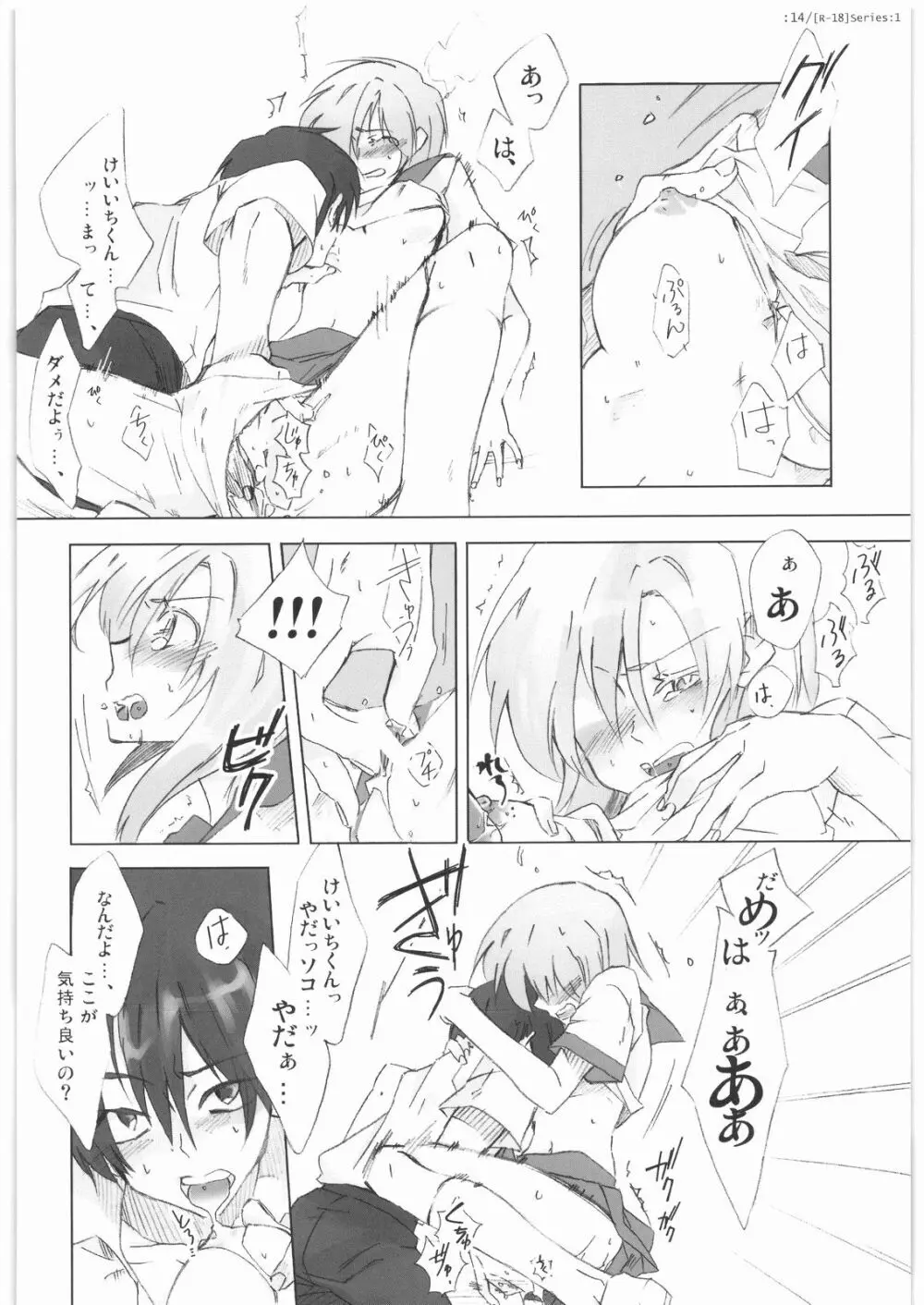 Series:1 Page.13