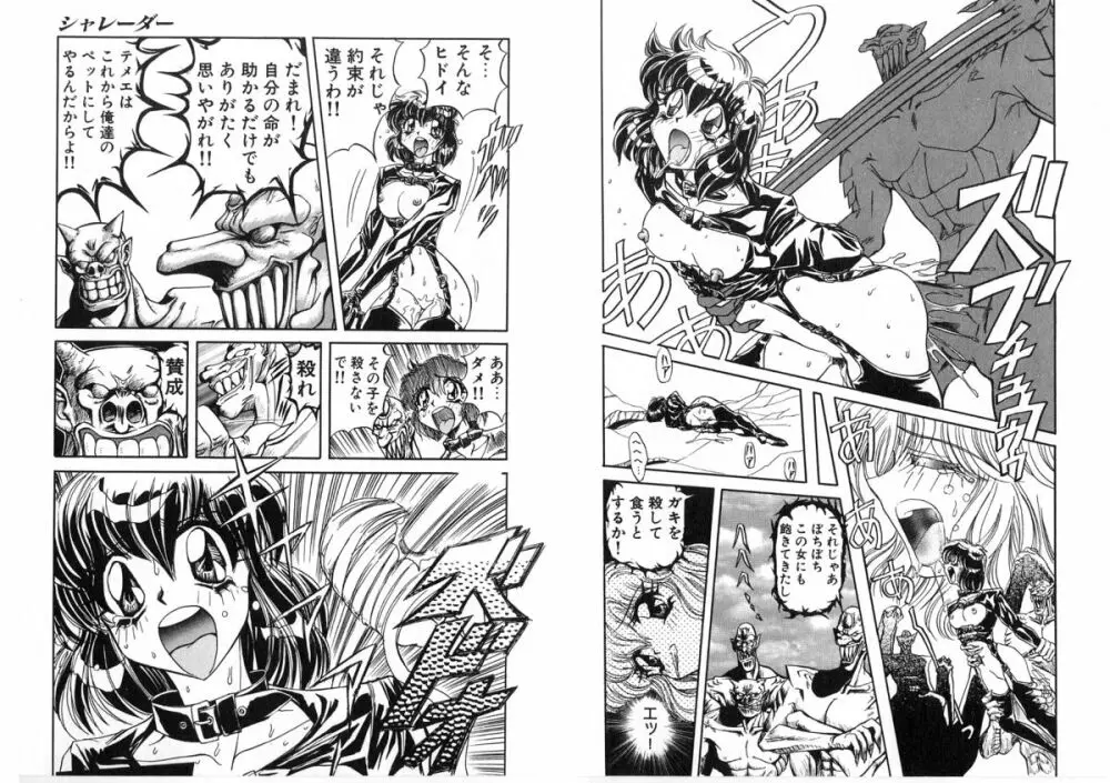 シャレーダー Page.24