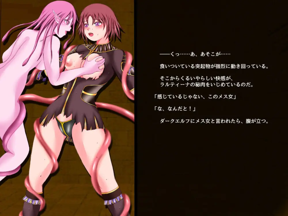 戦乙女ワルキューレ2・ダークエルフの逆襲 Page.41