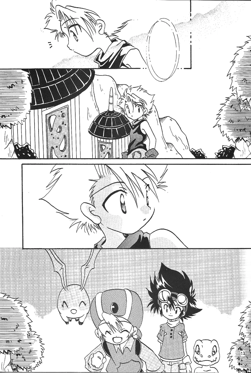 Duca 2.5 Page.12