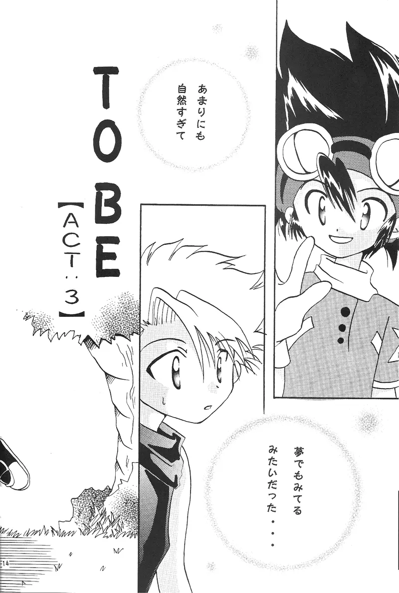 Duca 2.5 Page.13