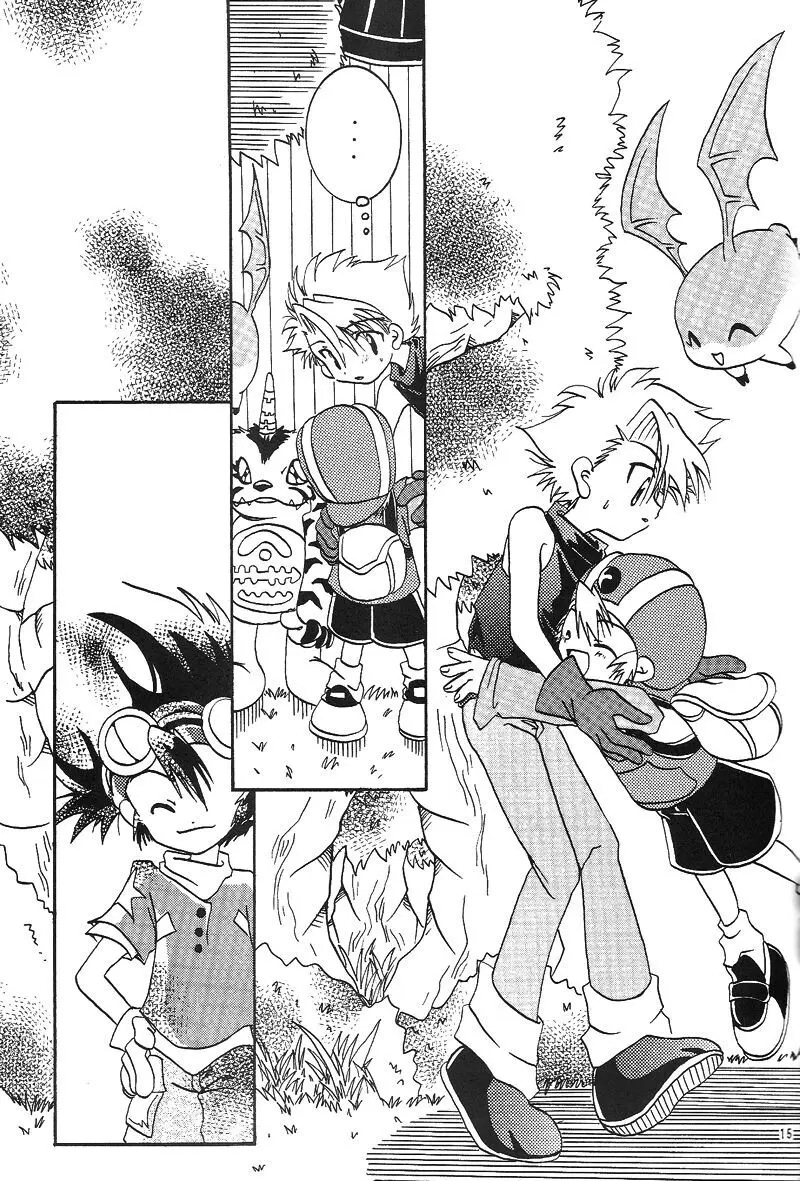 Duca 2.5 Page.14