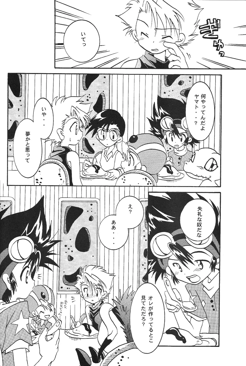 Duca 2.5 Page.15