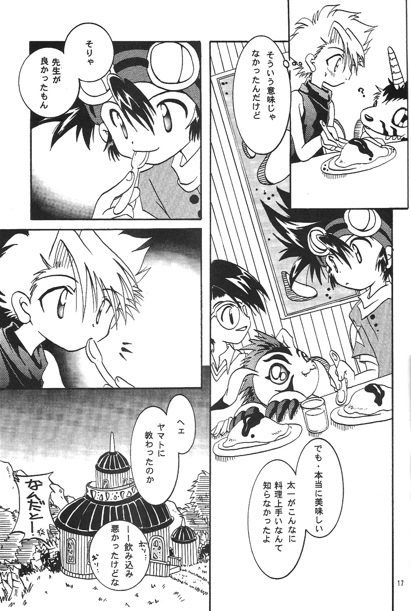 Duca 2.5 Page.16