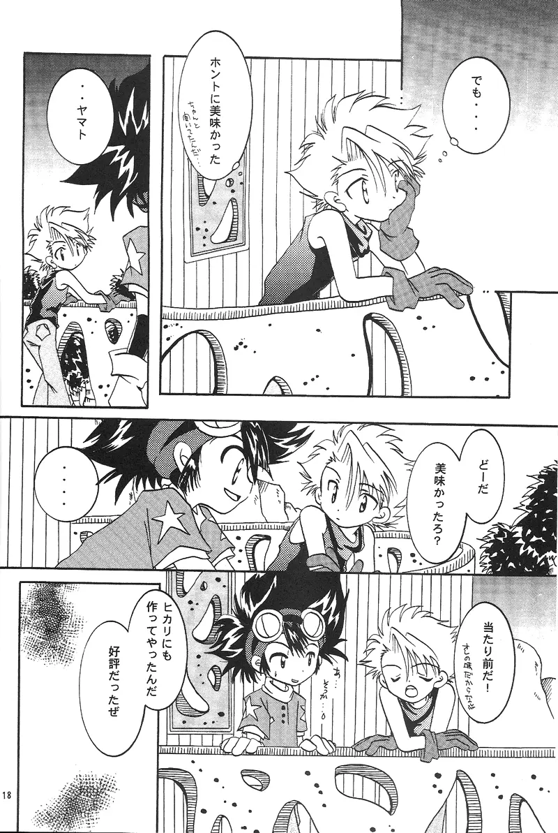 Duca 2.5 Page.17