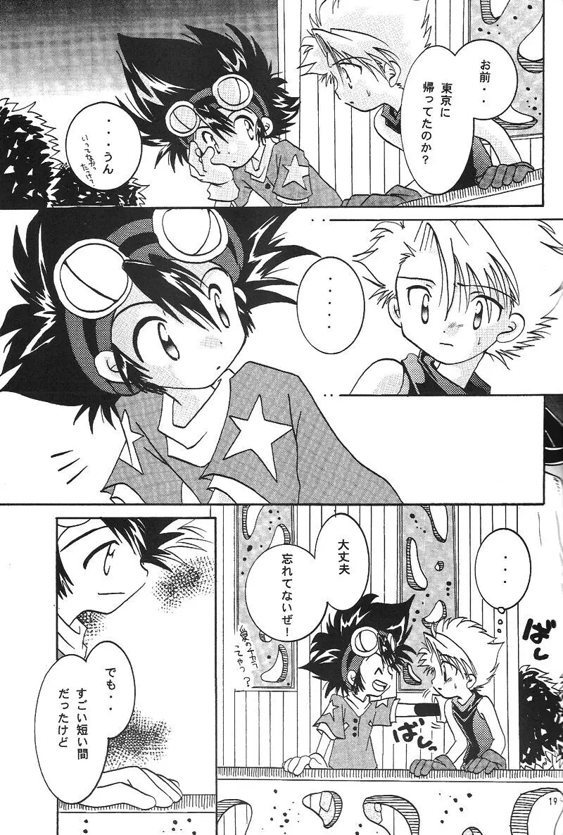 Duca 2.5 Page.18