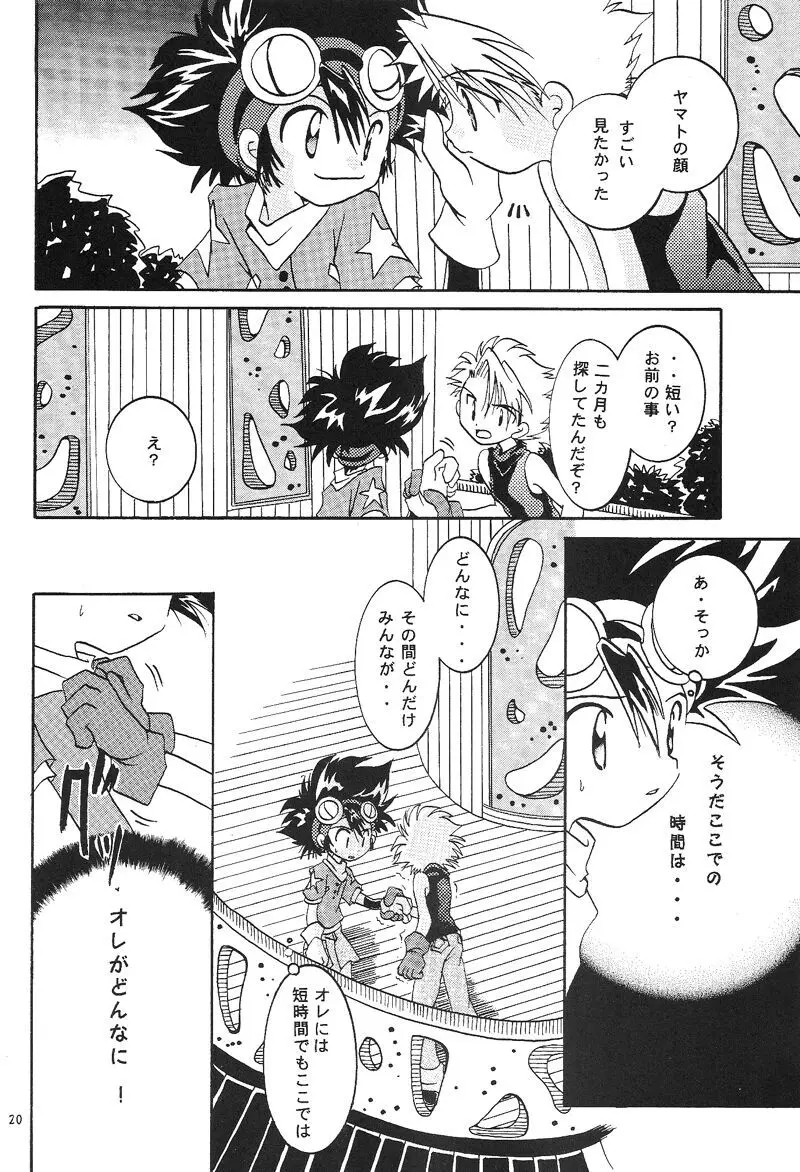 Duca 2.5 Page.19