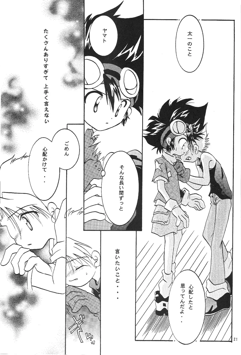 Duca 2.5 Page.20