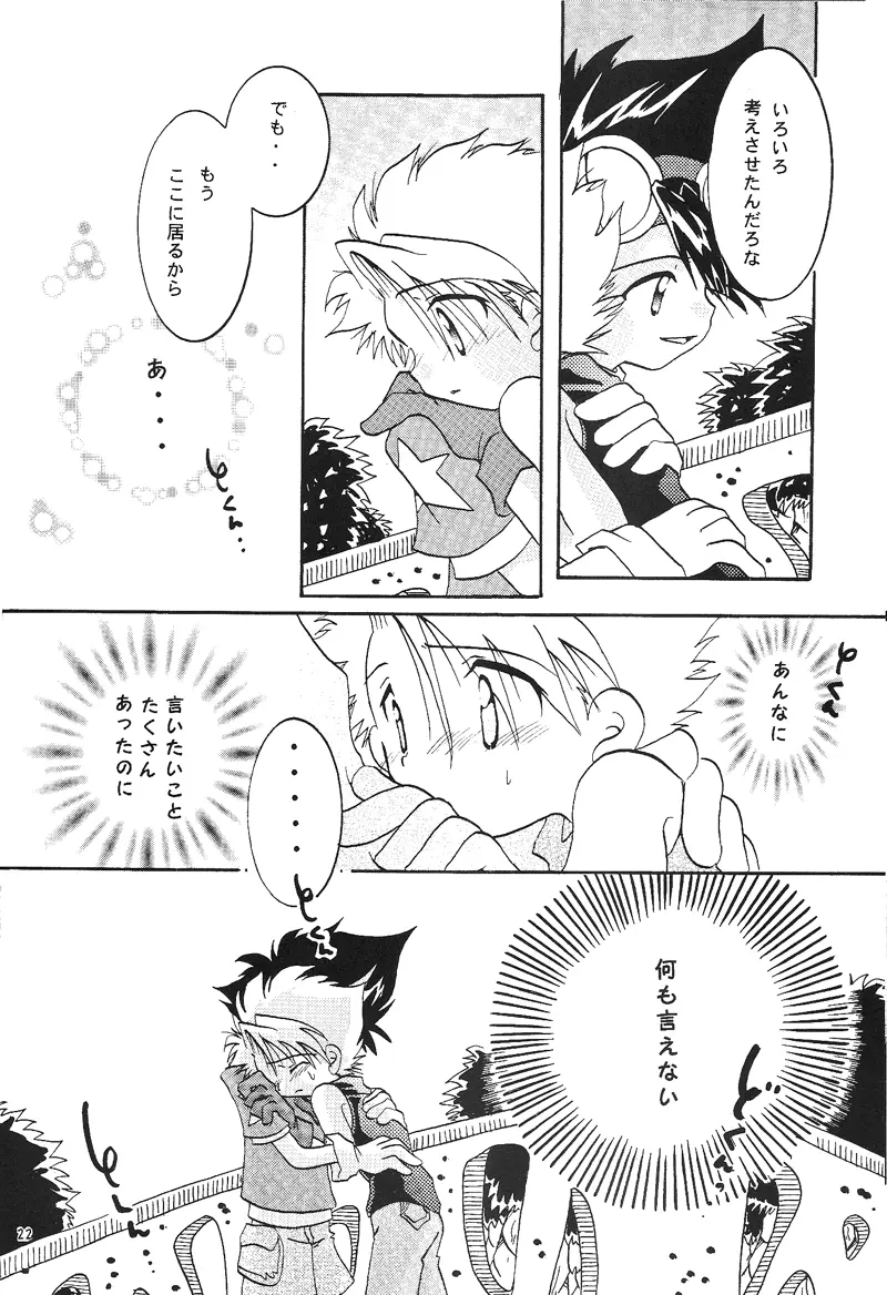 Duca 2.5 Page.21