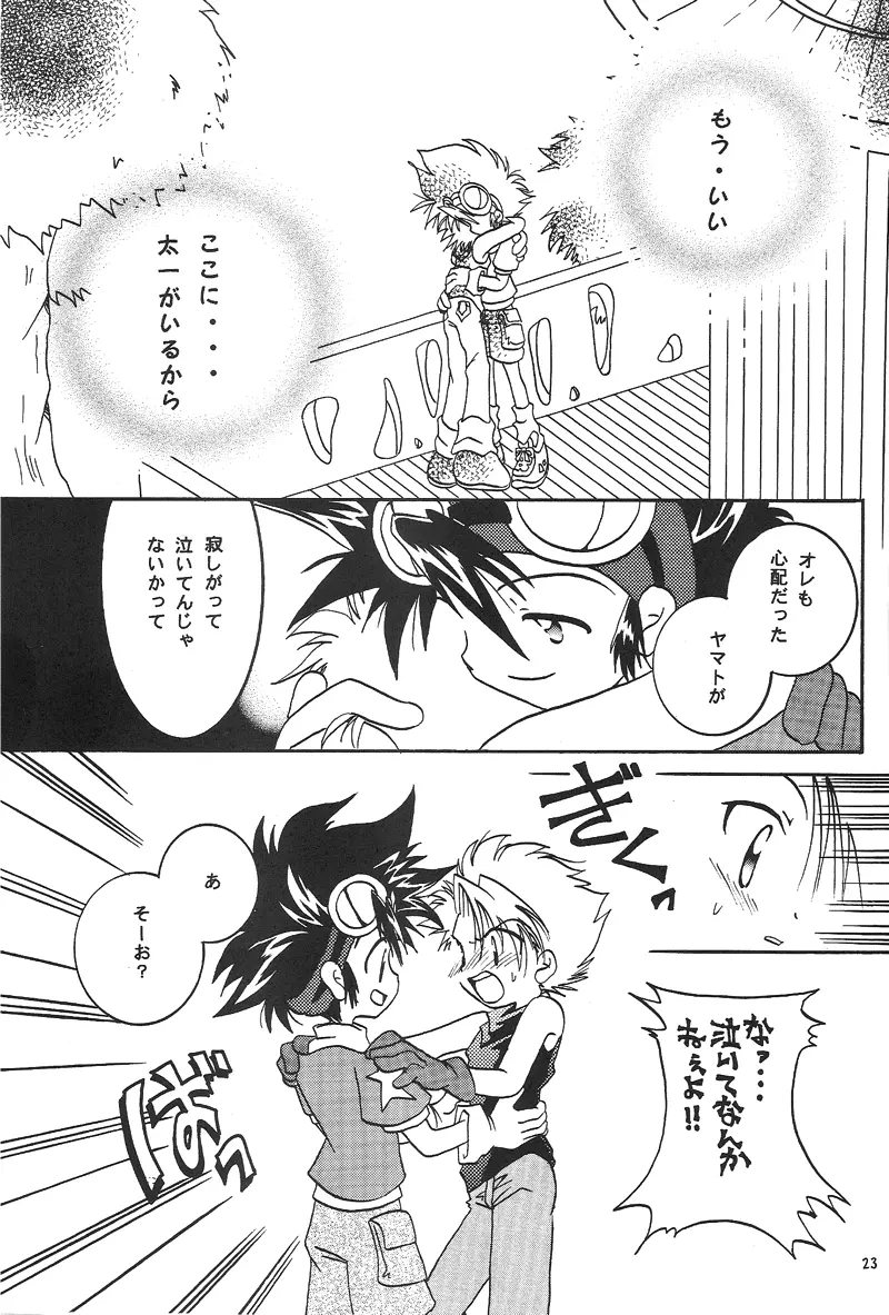 Duca 2.5 Page.22