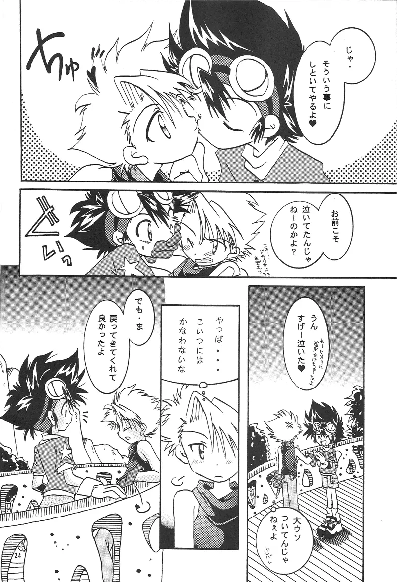 Duca 2.5 Page.23