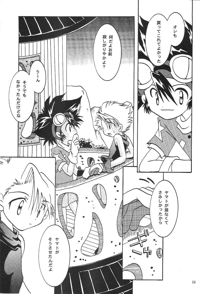 Duca 2.5 Page.24