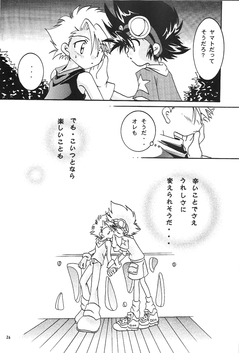Duca 2.5 Page.25