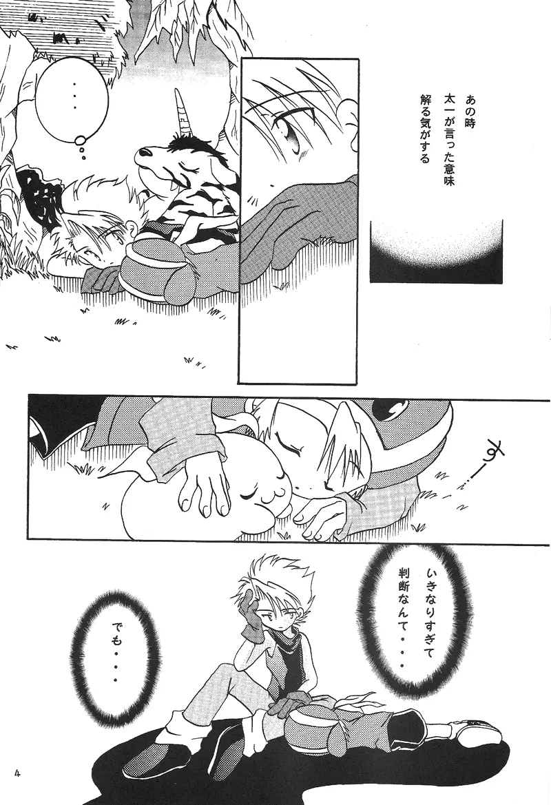 Duca 2.5 Page.3