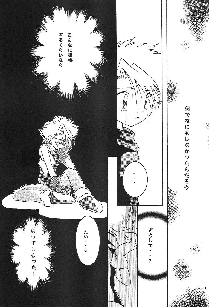 Duca 2.5 Page.4