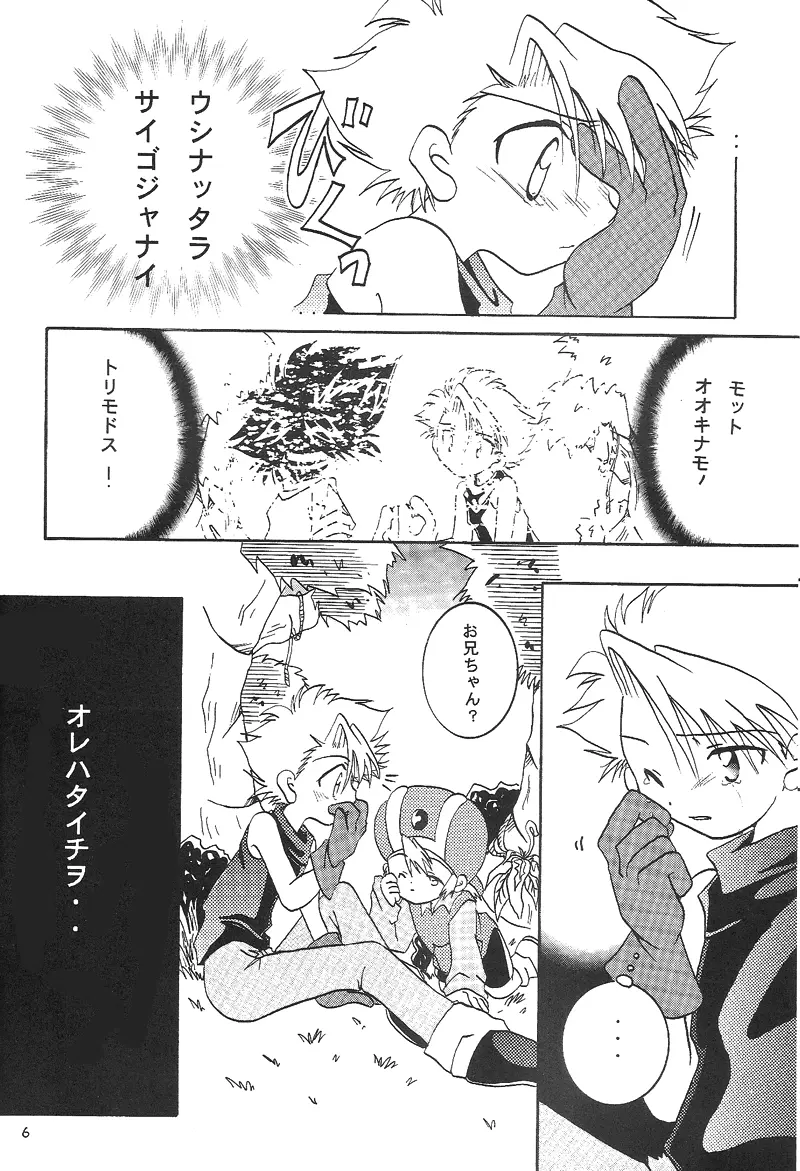Duca 2.5 Page.5