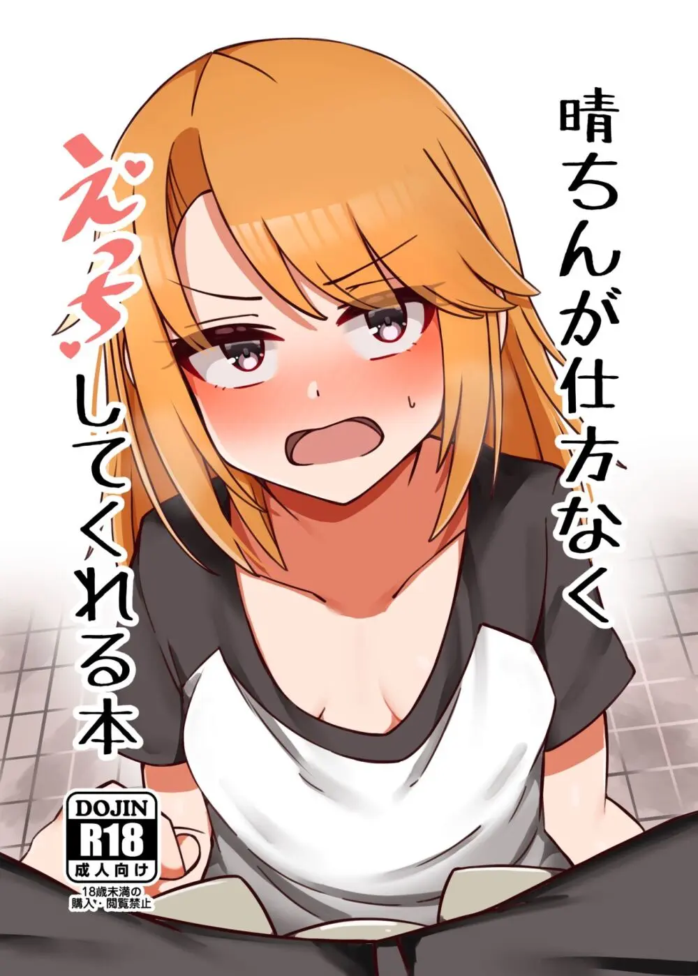 晴ちんが仕方なくえっちしてくれる本