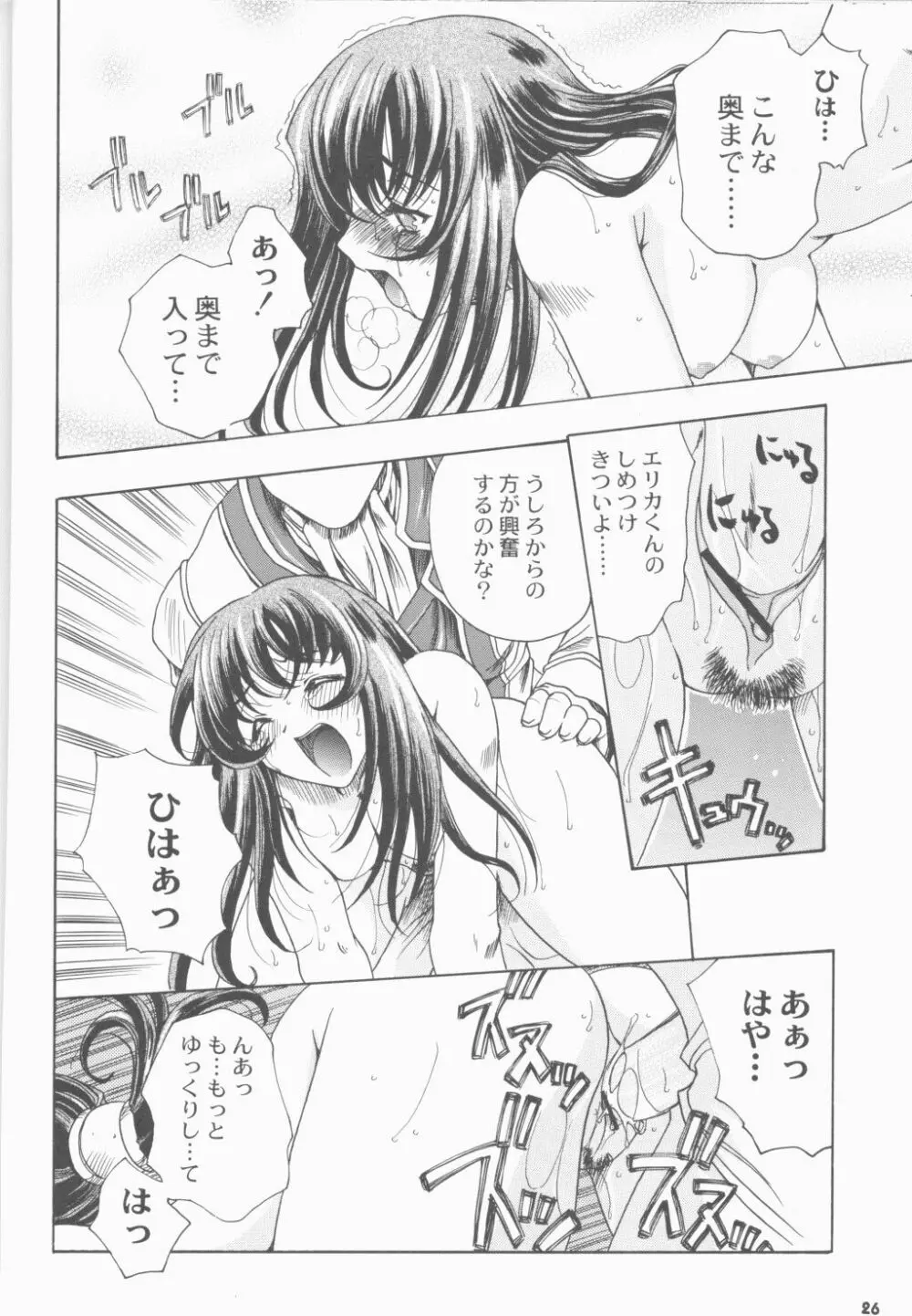 Cranberry Millefeuille DW4 Page.25