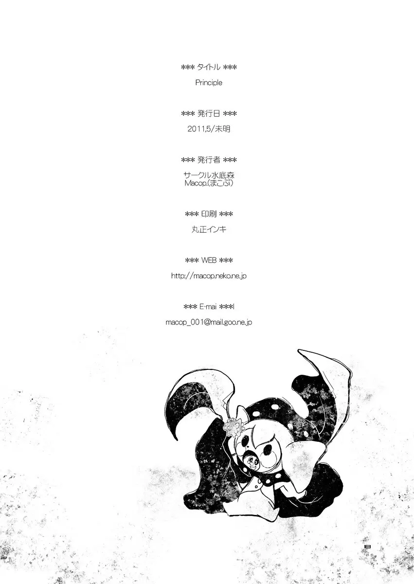 Principle Page.19