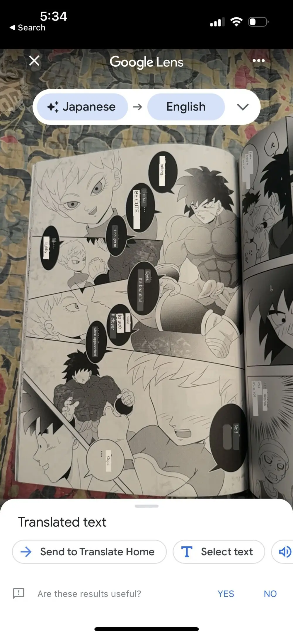 Broly Page.29