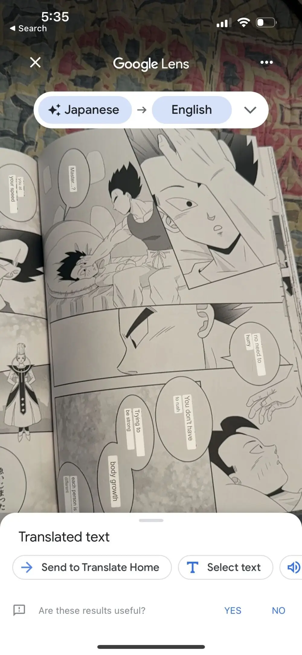 Broly Page.32