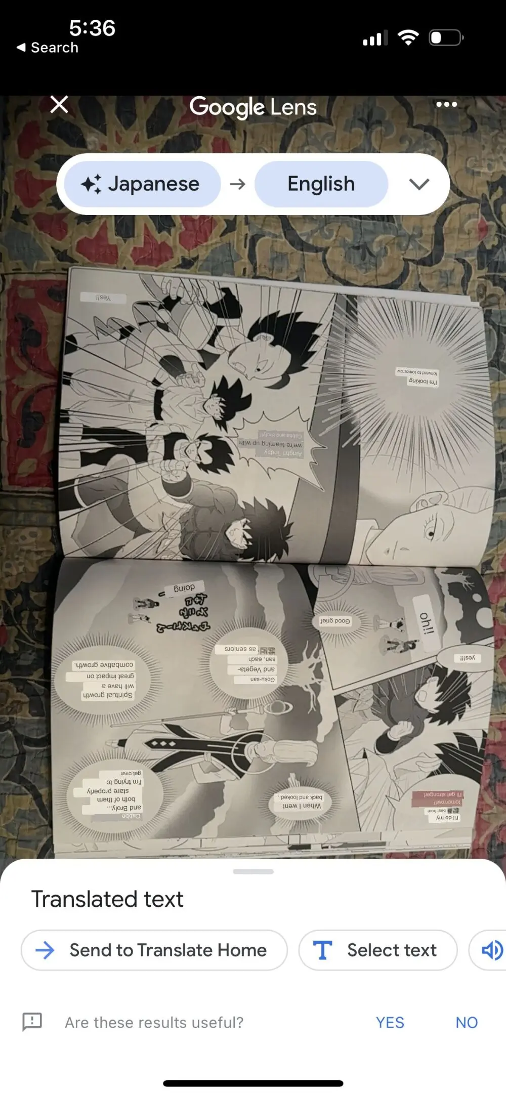 Broly Page.41