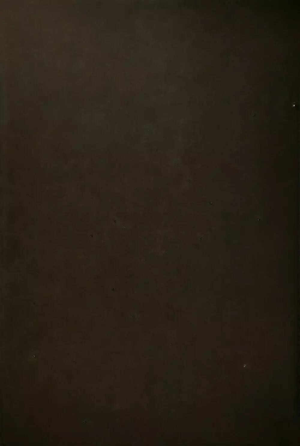 駘蕩愛死 Page.24