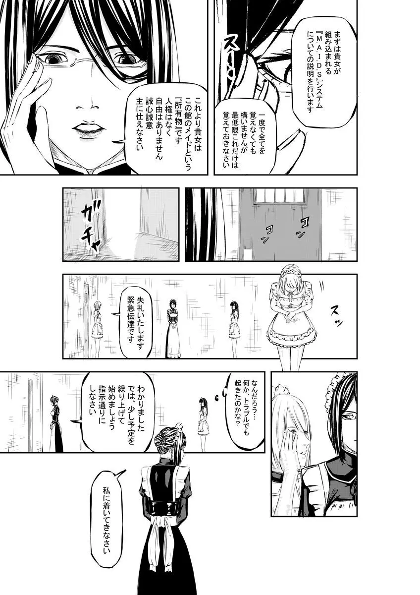 M.A.I.D.S system Page.12