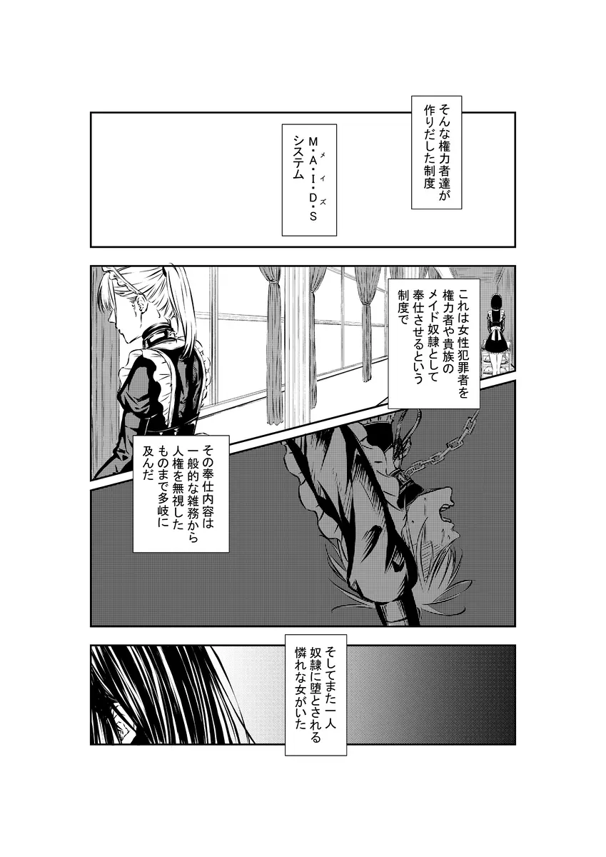 M.A.I.D.S system Page.2