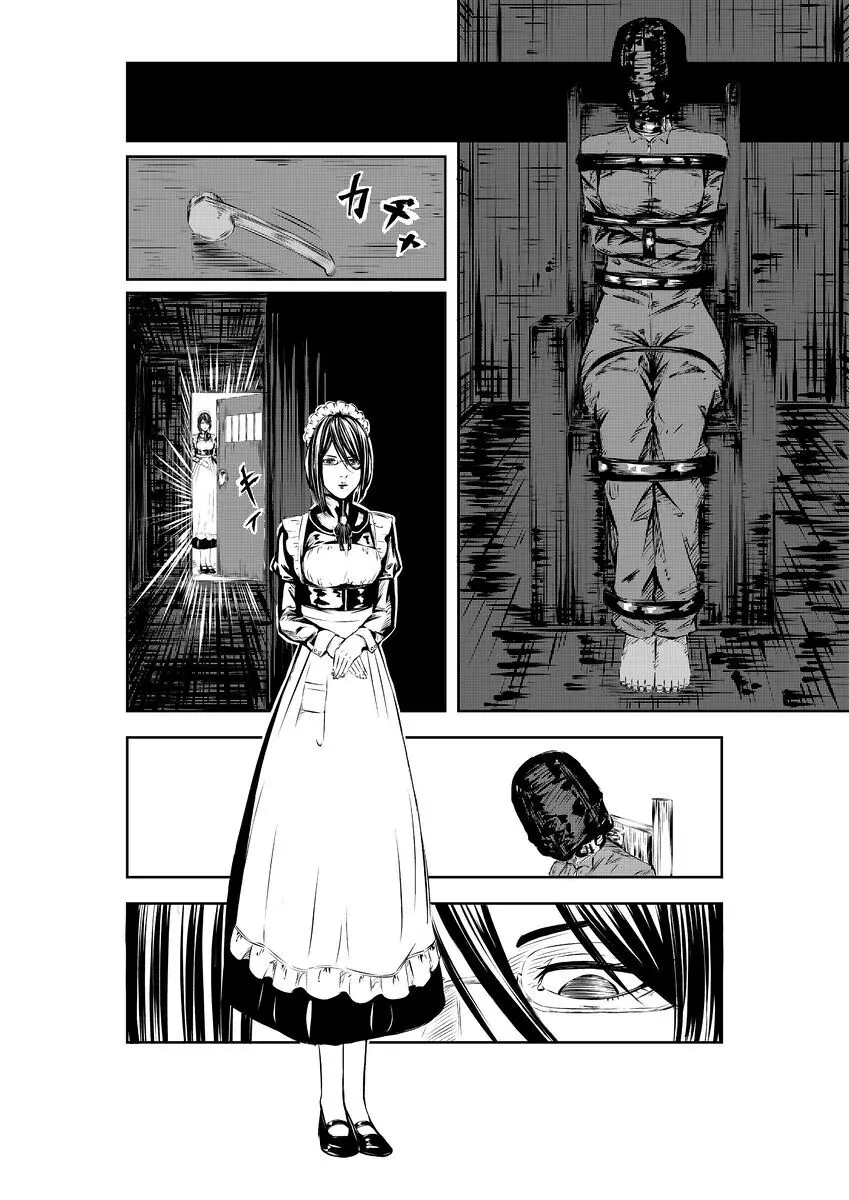 M.A.I.D.S system Page.5